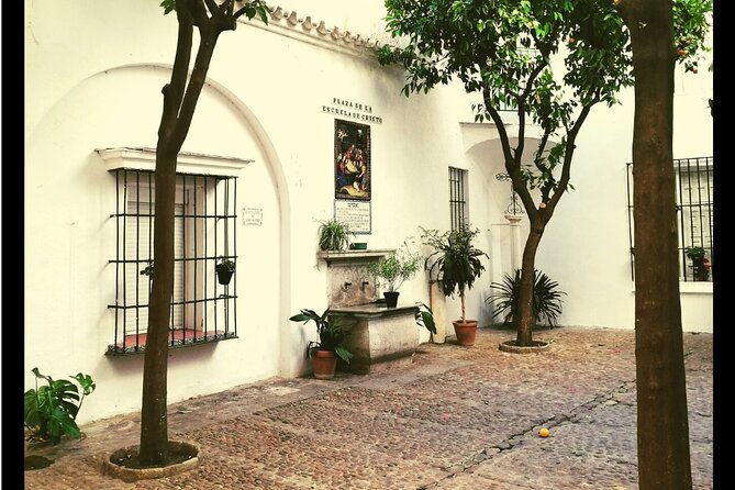 alcazar-cathedral-and-santa-cruz-private-tour