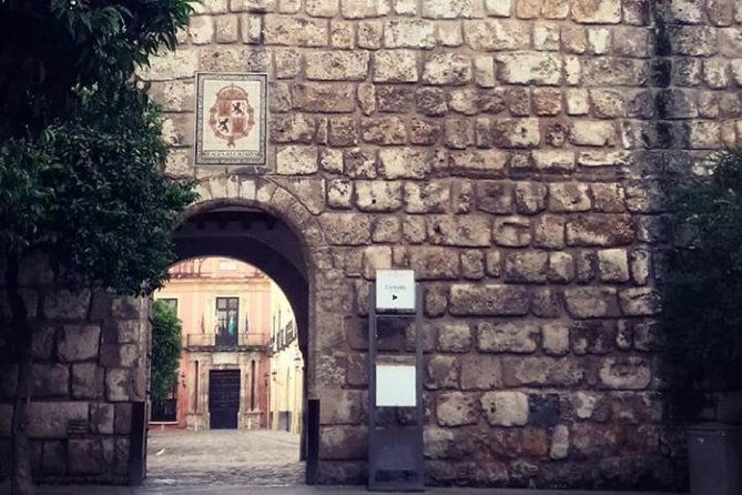 alcazar-cathedral-and-santa-cruz-private-tour
