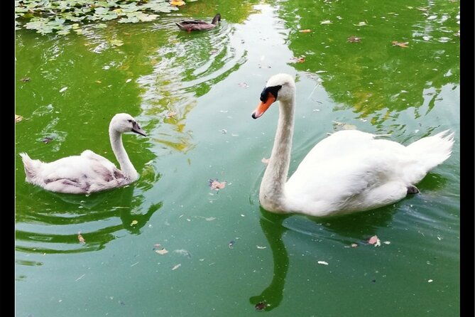 alcazar-cathedral-plaza-de-espana-and-maria-luisa-park-private-tour