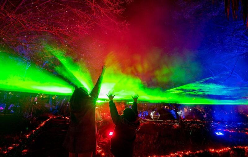 alcazar-of-seville-nature-ignited-light-show-ticket