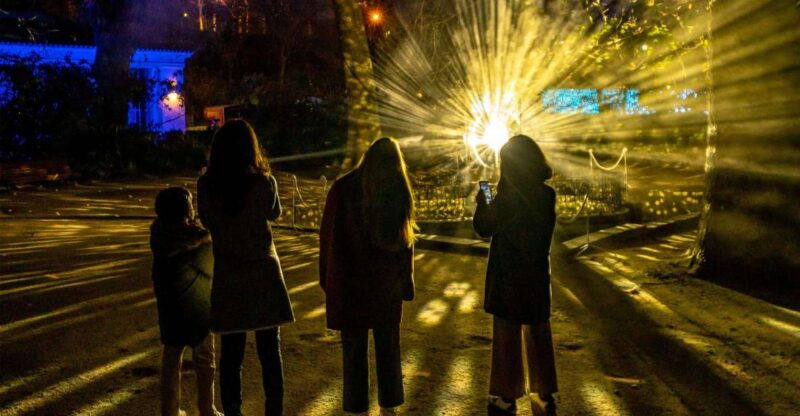 alcazar-of-seville-nature-ignited-light-show-ticket