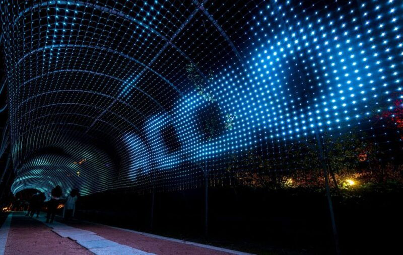 alcazar-of-seville-nature-ignited-light-show-ticket