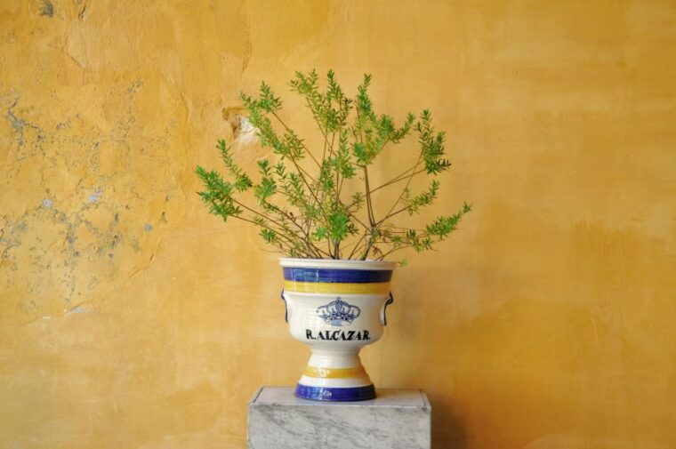 alcazar-of-seville-skip-the-line-tickets-and-guided-tour