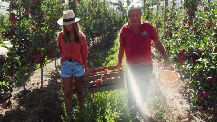 alcobaca-visit-to-the-lemos-figueiredo-winery-and-distillery