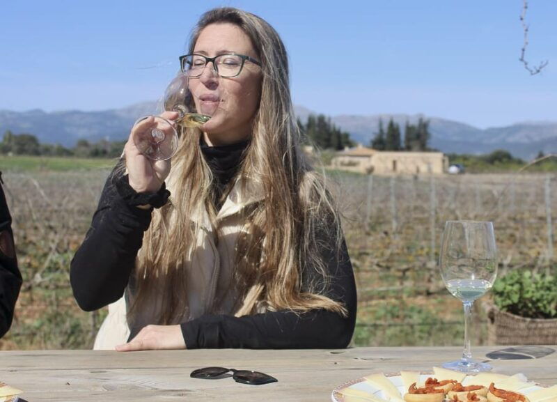alcudia-can-picafort-guided-vineyard-visit-and-wine-tasting