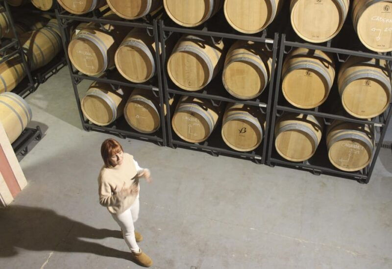 alcudia-can-picafort-guided-vineyard-visit-and-wine-tasting