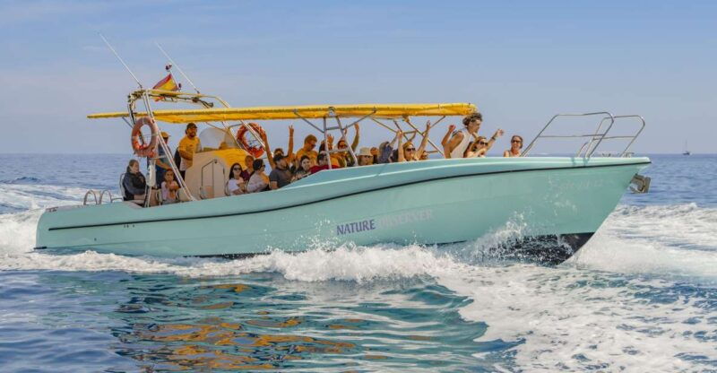 alcudia-coll-baix-beach-sea-caves-cruise-with-snorkeling