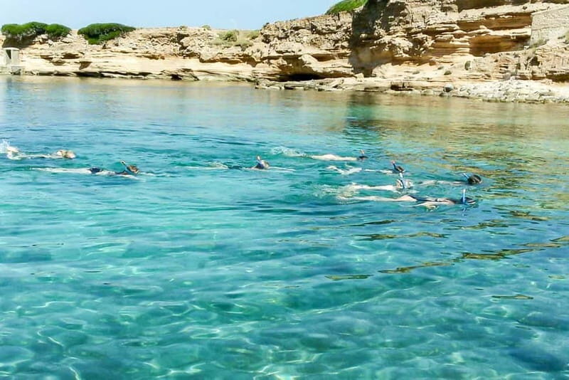 Alcudia: Formentor Beach, Lighthouse Cruise, and Small Group - Who Will Love This Tour?  