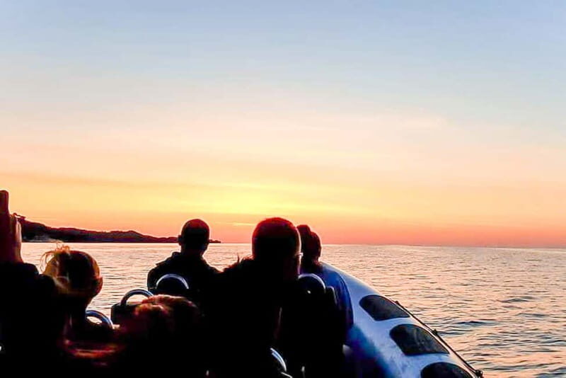 Alcudia: Formentor Beach, Lighthouse Cruise, and Small Group - The Sum Up  