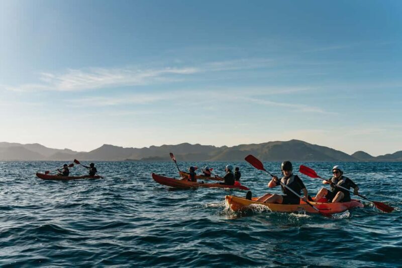 Alcudia: Kayaking Tour with Snorkel & Sea Cave Swim - The Sum Up