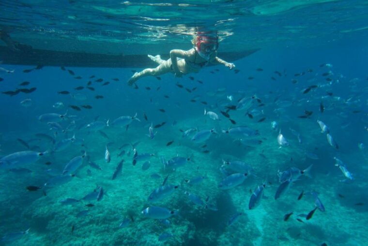 alcudia-llevant-nature-park-cruise