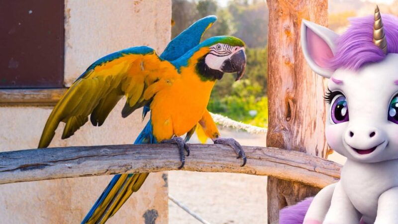 alcudia-meet-the-magical-creatures-of-alcudiafamily-game