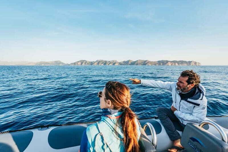 Alcudia or Can Picafort: Dolphin-Watching Cruise - Key Points