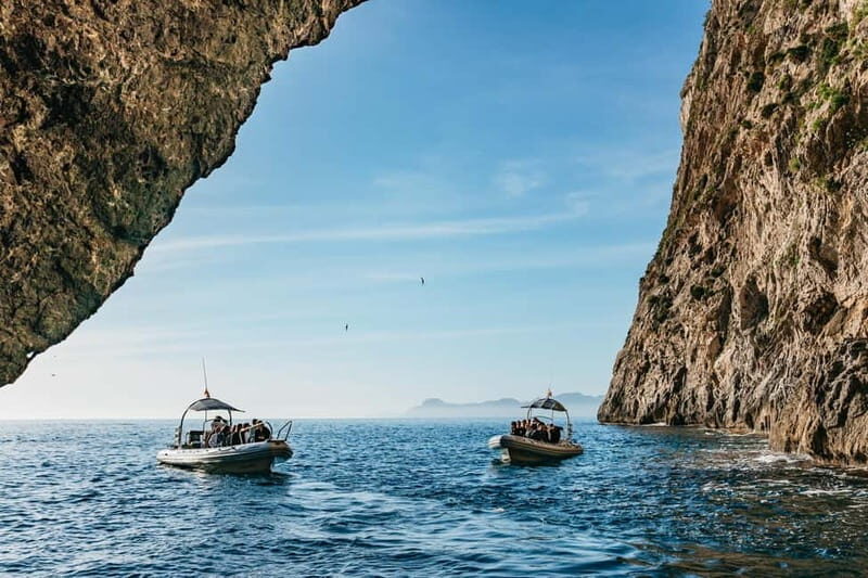 Alcudia or Can Picafort: Dolphin-Watching Cruise - A Closer Look at the Experience