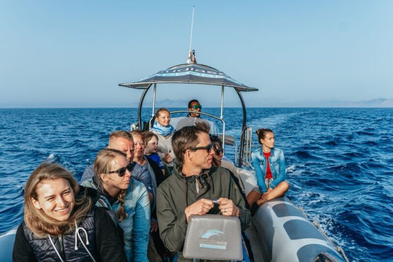 Alcudia or Can Picafort: Dolphin-Watching Cruise - FAQs