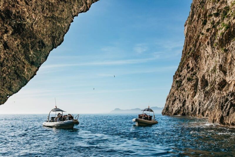 alcudia-or-can-picafort-sunrise-dolphin-watching-cruise