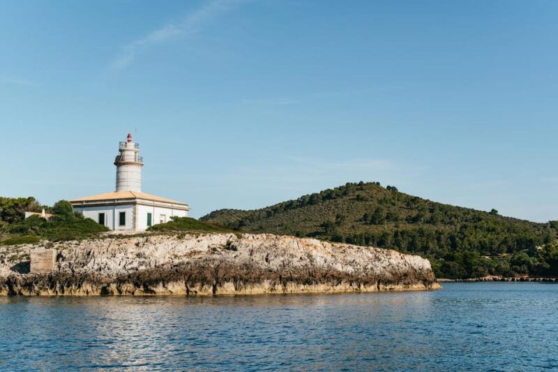 alcudia-or-can-picafort-sunrise-dolphin-watching-cruise