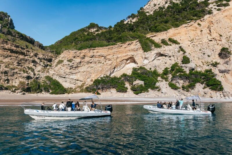 alcudia-or-can-picafort-sunrise-dolphin-watching-cruise