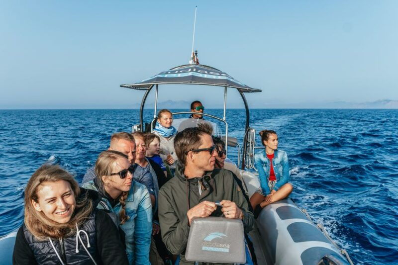 alcudia-or-can-picafort-sunrise-dolphin-watching-cruise