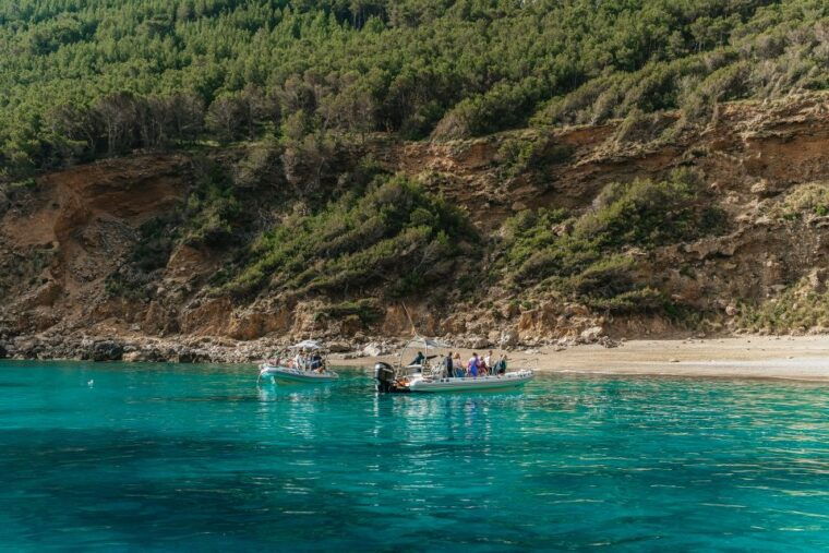 alcudia-or-can-picafort-sunrise-dolphin-watching-cruise