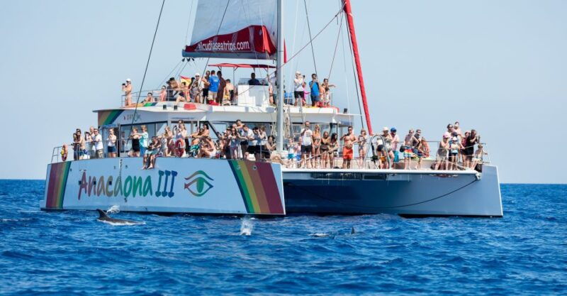 alcudia-sunset-catamaran-tour-with-dinner-and-snorkeling