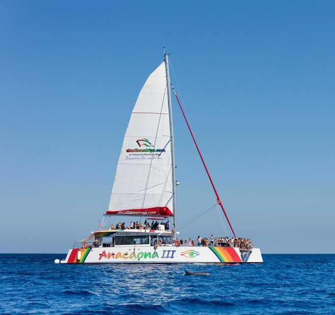 alcudia-sunset-catamaran-tour-with-dinner-and-snorkeling