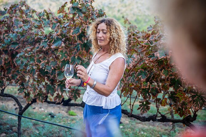 alcudia-winecellar-tour-with-vineyard-visit-tasting-of-5-wines