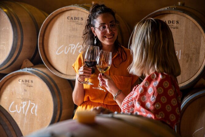 alcudia-winecellar-tour-with-vineyard-visit-tasting-of-5-wines