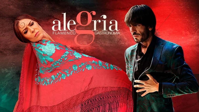 Alegria Flamenco in Malaga, with Transfer, Cocktail and Premium Location - The Itinerary Breakdown: What To Expect