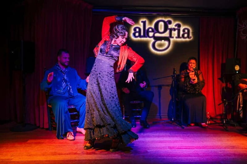 Alegria Flamenco in Malaga, with Transfer, Cocktail and Premium Location - What the Experience Includes and What to Keep in Mind