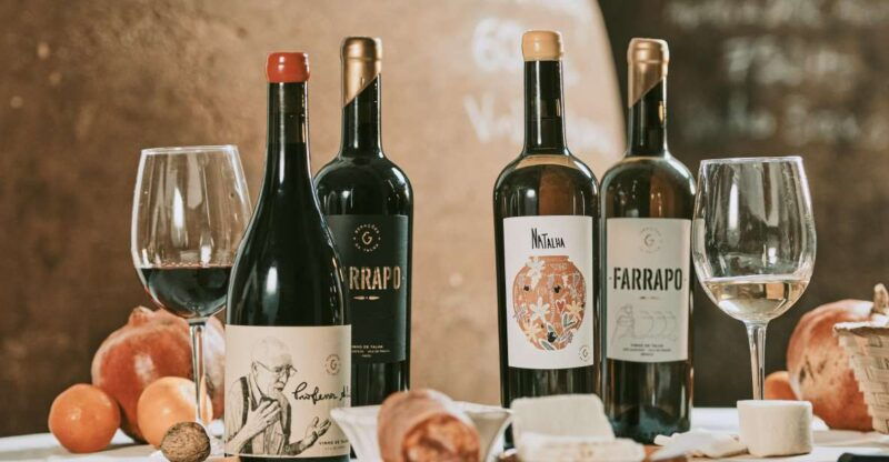 alentejo-visit-and-taste-the-tradition-of-talha-wines