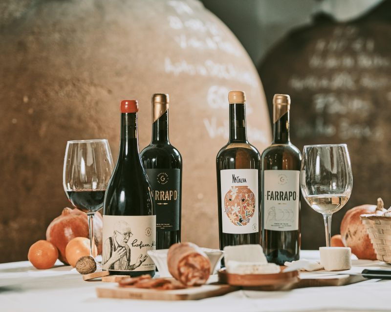 alentejo-visit-and-taste-the-tradition-of-talha-wines