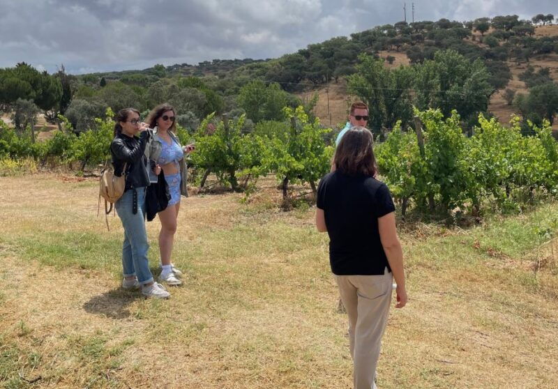 alentejo-wine-from-evora