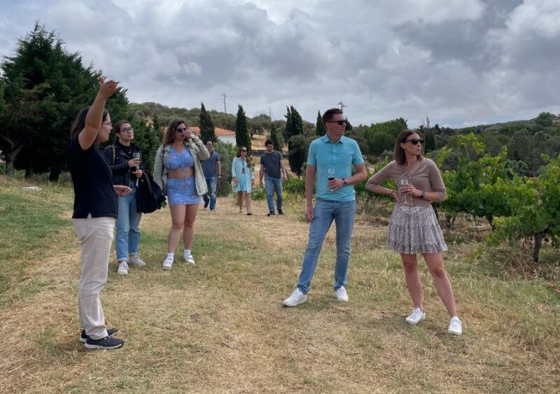 alentejo-wine-from-evora