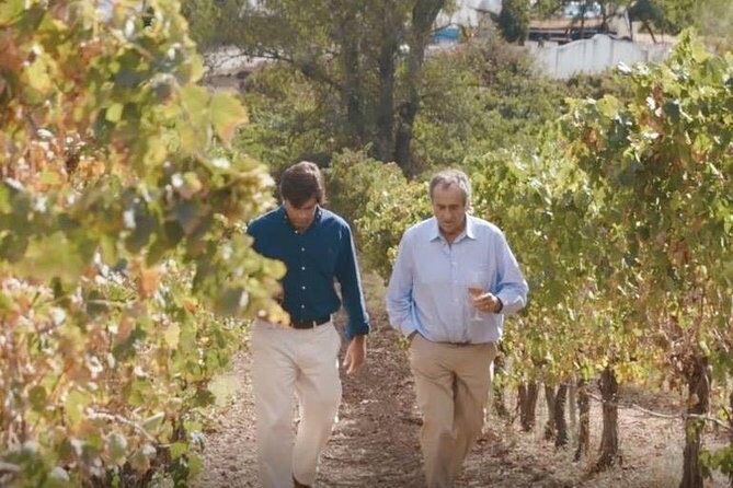 Alentejo Wine Tour from Évora - Authentic Experiences Highlighted by Travelers  