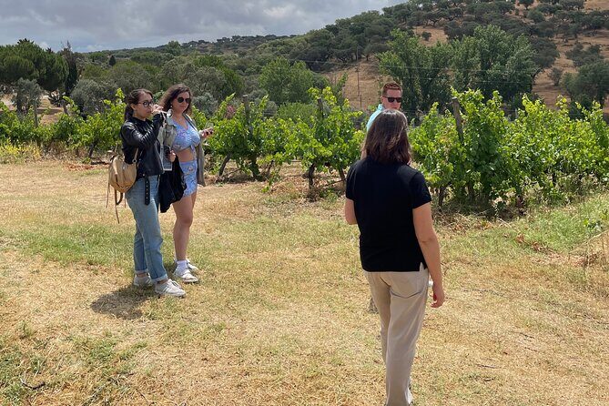 Alentejo Wine Tour from Évora - Who Would Love This Tour?  
