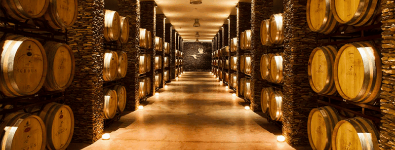 alentejo-wine-tour-from-the-algarve-2
