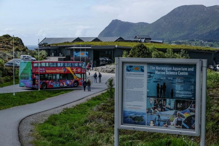 alesund-city-sightseeing-hop-on-hop-off-bus-tour