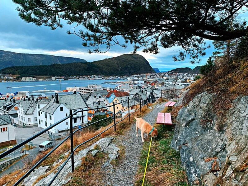 alesund-private-sightseeing-tour-on-foot-and-by-car