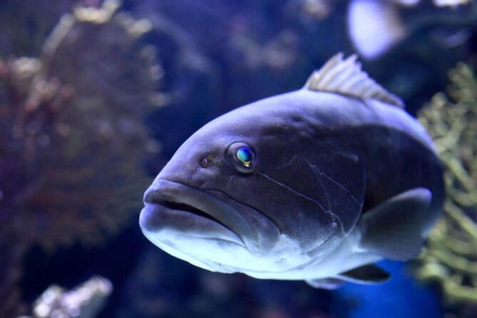 alexander-waterfall-and-antalya-aquarium-day-tour-from-side