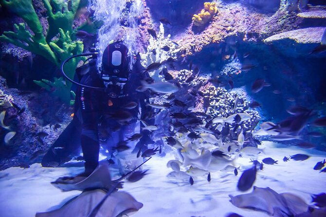 alexander-waterfall-and-antalya-aquarium-day-tour-from-side