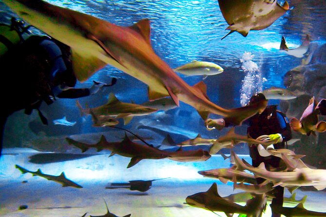 alexander-waterfall-and-antalya-aquarium-day-tour-from-side