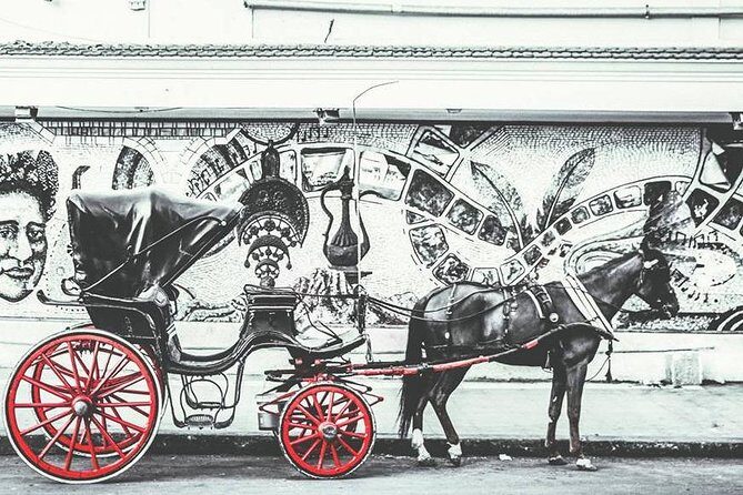 Alexandria Horse Carriage Tour - A Deeper Look at the Alexandria Horse Carriage Tour