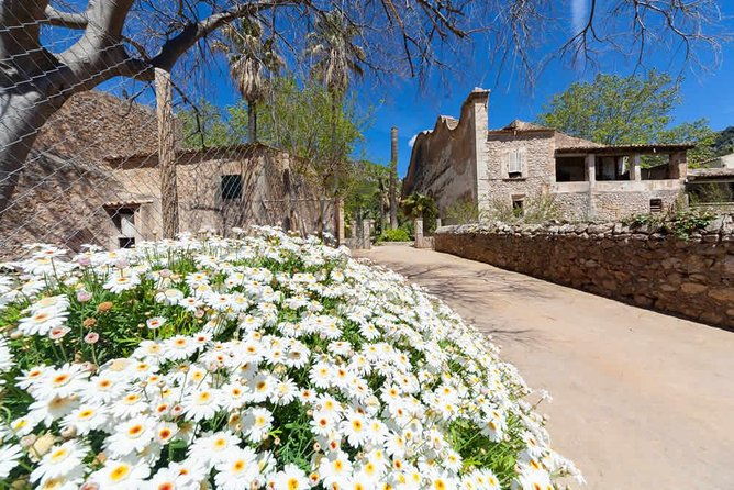 alfabia-gardens-tickets-2