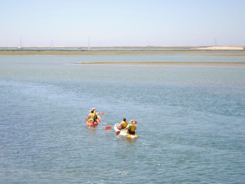 algarve-2-hour-ria-formosa-kayak-tour-from-faro