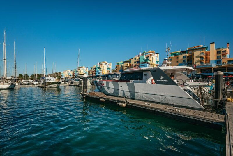 algarve-3-hour-caves-and-coastline-boat-trip