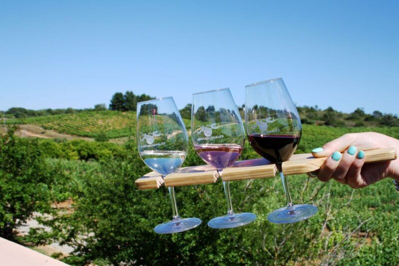 algarve-3-types-of-wine-tastings-with-vineyard-views