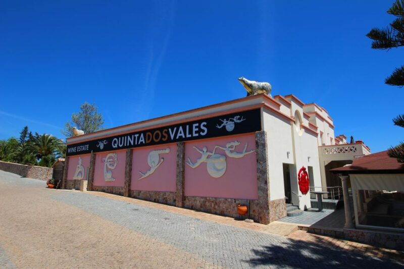 algarve-3-types-of-wine-tastings-with-vineyard-views