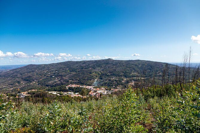 Algarve a la Carte - Lunch and Practical Details