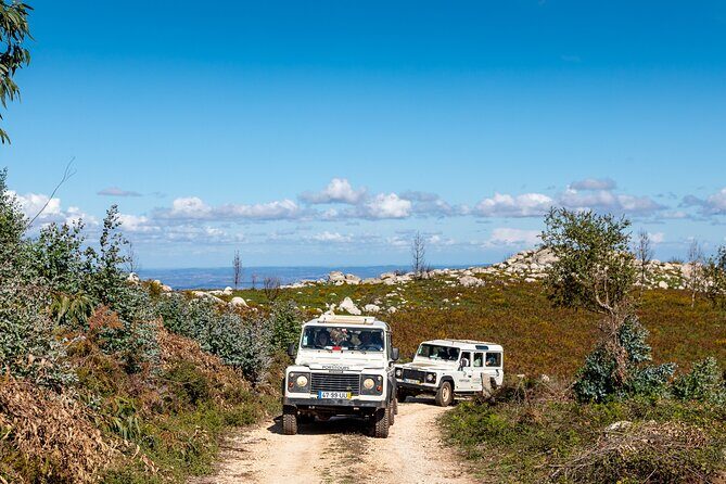 Algarve a la Carte - Potential Drawbacks and Considerations